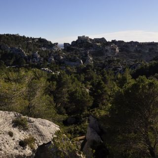 031-avignon_2012.jpg