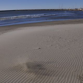 040-avignon_2012.jpg