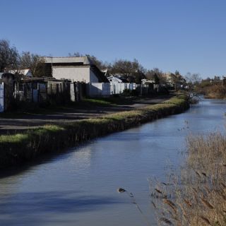 044-avignon_2012.jpg