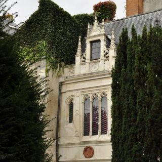 008-Wikimedia.jpg