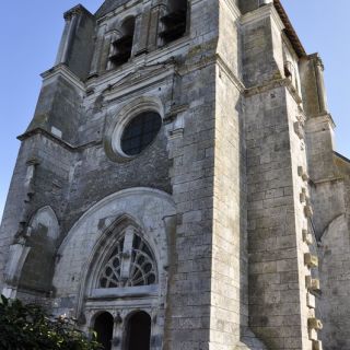 036-Wikimedia.jpg
