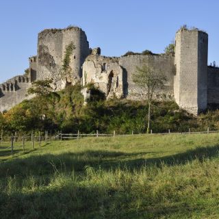 041-Wikimedia.jpg